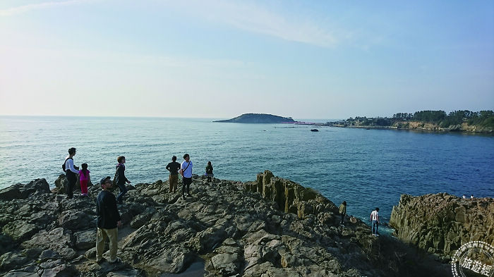 福井不只越前蟹 東尋坊2天1夜新玩法 蕃新聞 福井不只越前蟹 東尋坊2天1夜新玩法 蕃新聞