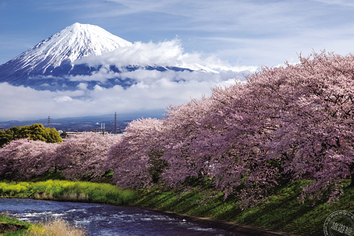 19靜岡burabura Go行程盡覽富士山美景 蕃新聞 19靜岡burabura Go行程盡覽富士山美景 蕃新聞