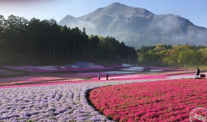 日本農泊之旅來去秩父或京都鄉下住1晚 蕃新聞 日本農泊之旅來去秩父或京都鄉下住1晚 蕃新聞